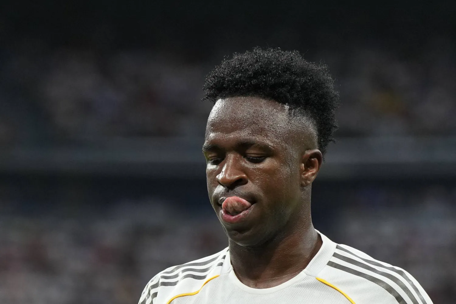 فيني محبط من سياسة ألونسو خلال المباريات (أ.ب)