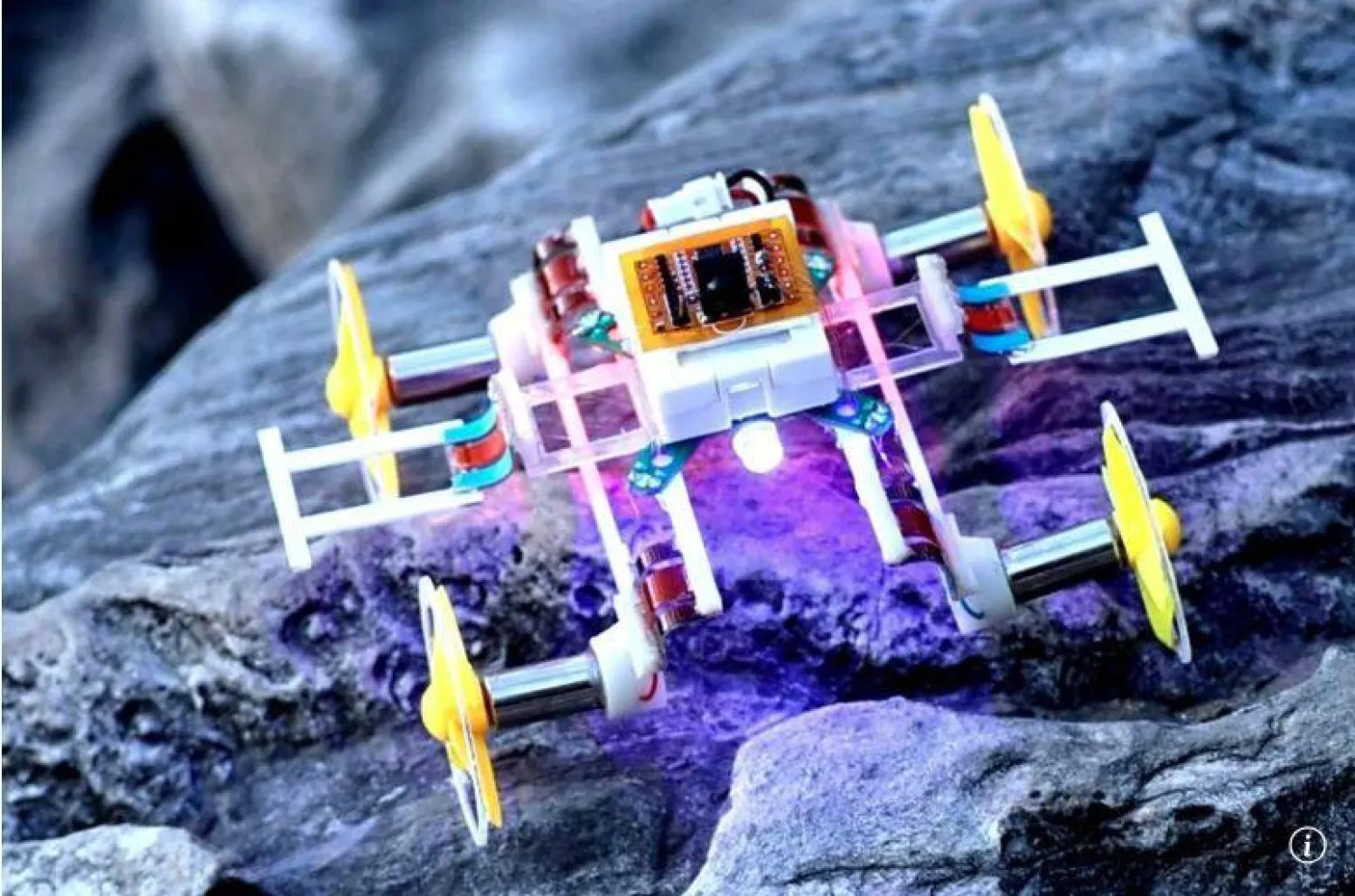 باحثون صينيون طوروا أصغر وأخف روبوت لاسلكي في العالم (أرشيفية - صحيفة ساوث تشينا مورنينغ بوست)