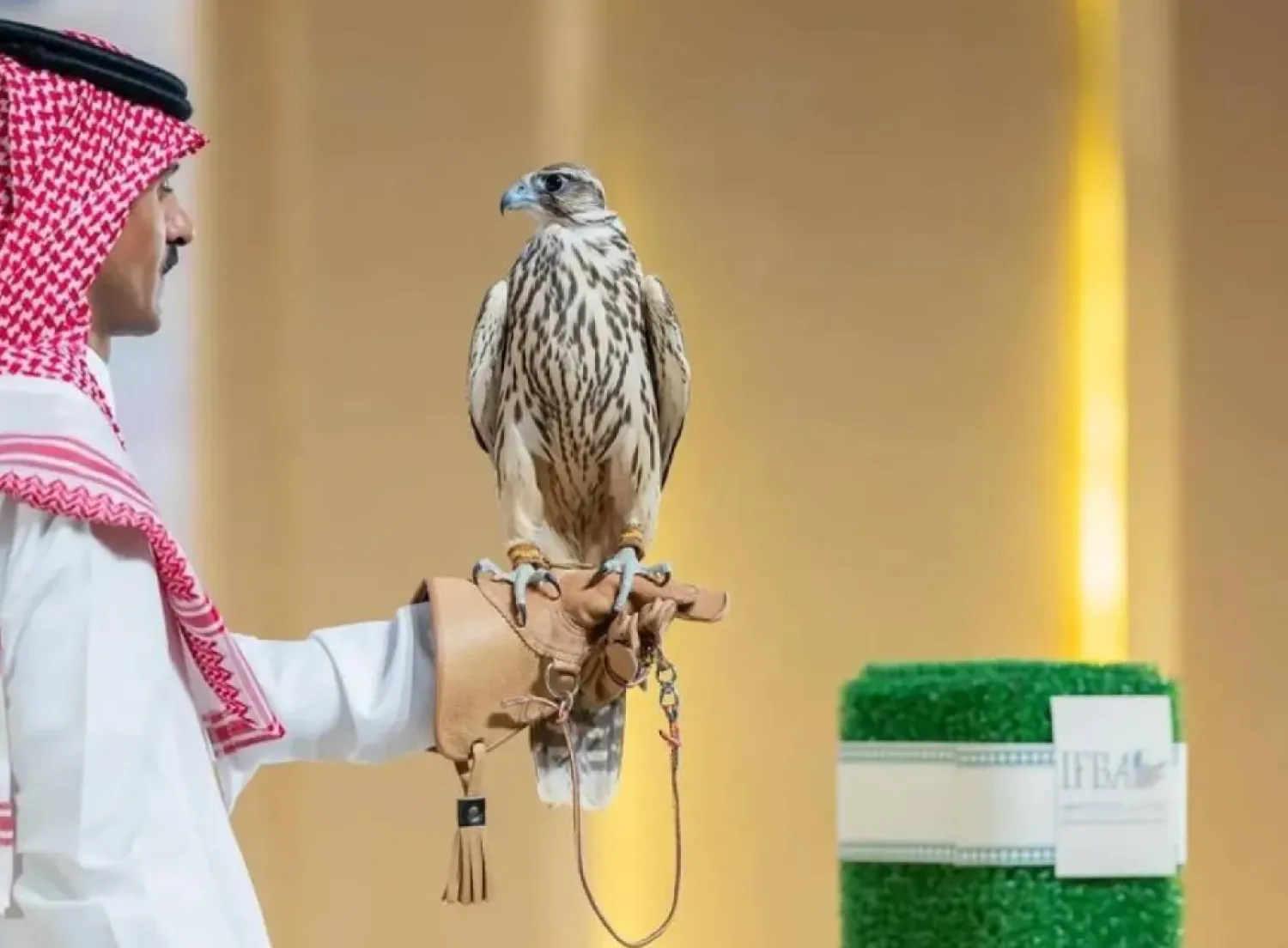 The Saudi Falcons Club Auction 2025 aims to provide a reliable platform for the transparent buying and selling of falcons while supporting investment in this promising sector - SPA