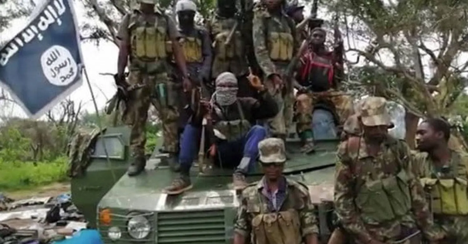 عناصر من تنظيم «داعش» في موزمبيق (متداولة)