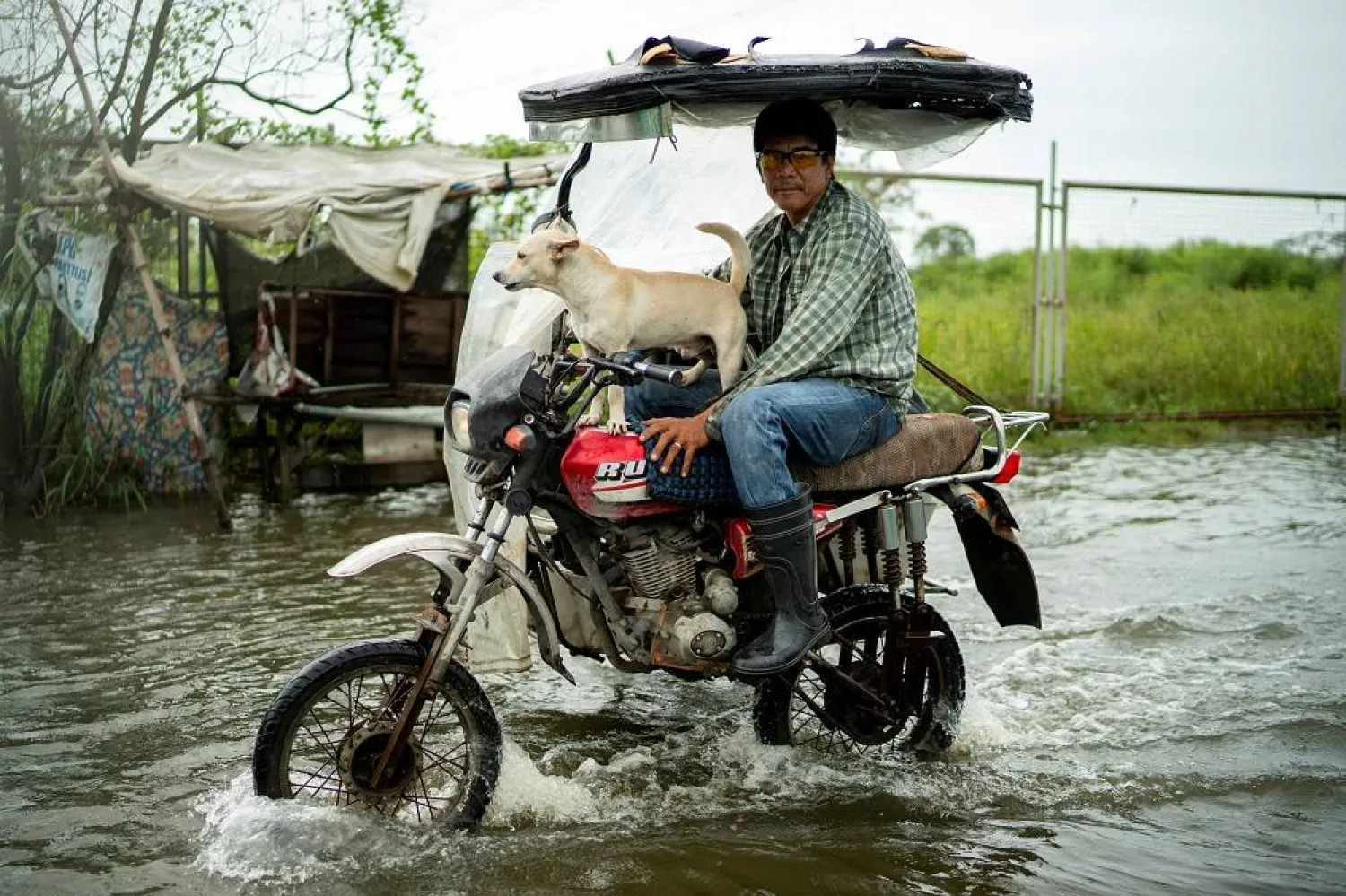 A motorist with a dog wades through a flooded road, following heavy rains intensified by Super Typhoon Ragasa, in Apalit, Pampanga province, Philippines, September 23, 2025. (Reuters) 