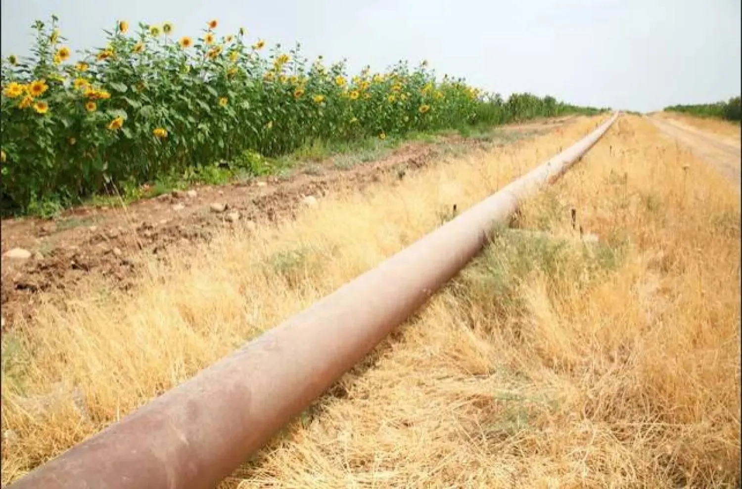 خط أنابيب نفط بين العراق وتركيا في محافظة دهوك بكردستان العراق (رويترز)