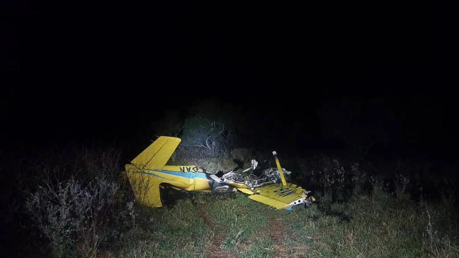 The crash site where Chinese architect Kongjian Yu died with three others. Handout / Mato Grosso do Sul Fire Department/AFP

