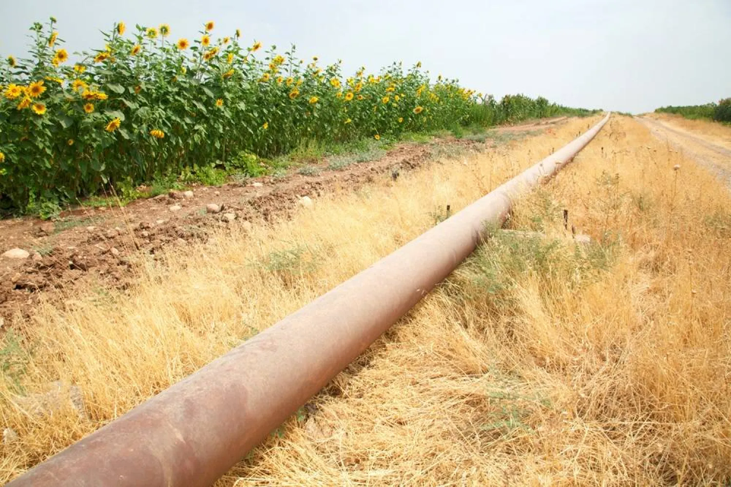 The Iraqi-Turkish pipeline is seen in Zakho district of the Dohuk Governorate of the Iraqi Kurdistan province, Iraq, August 28, 2016. (Reuters) 