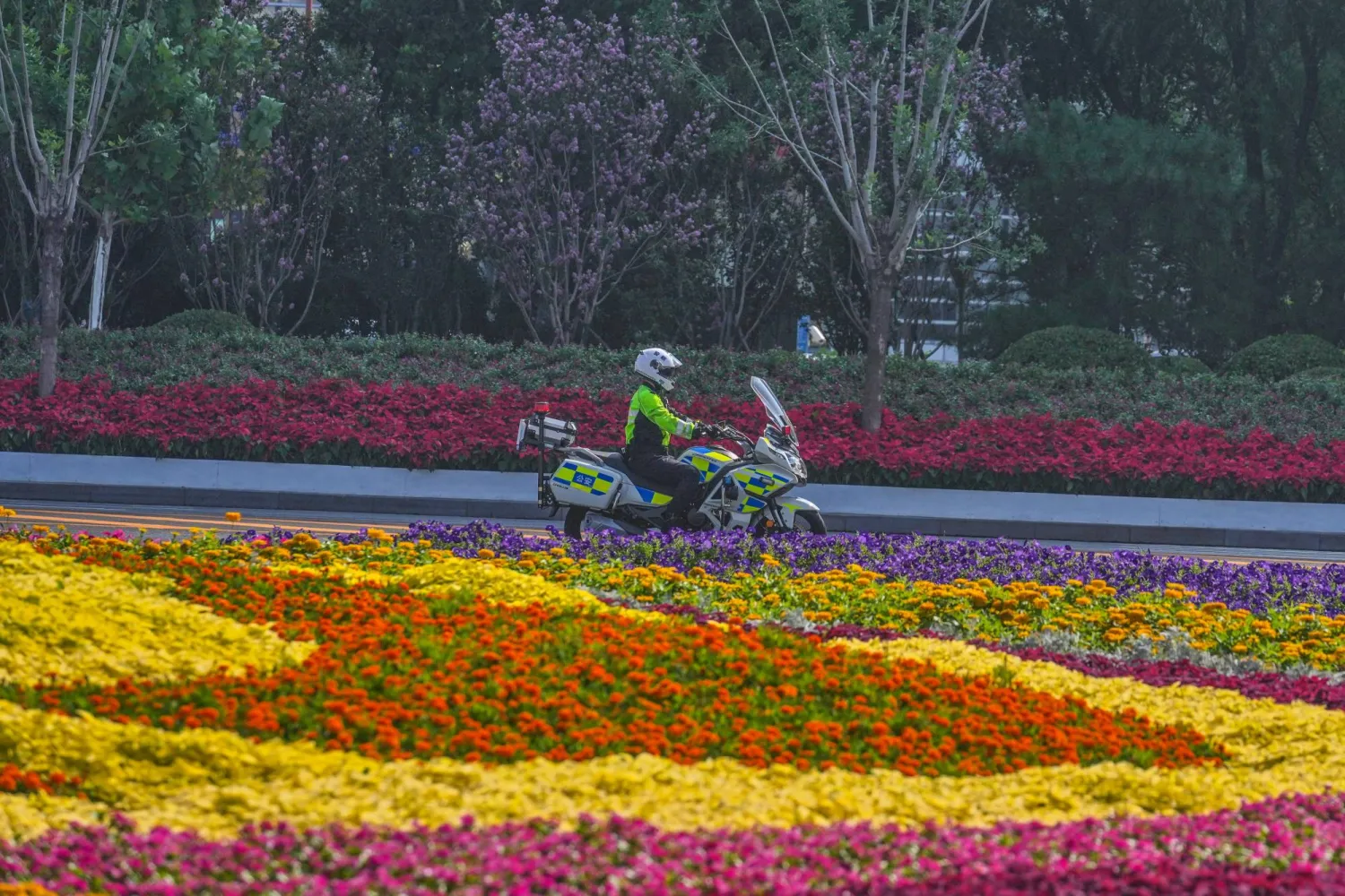 A police officer patrols on motorcycle outside the venue of the Shanghai Cooperation Organization (SCO) summit in Tianjin, China, Monday, Sept. 1, 2025. (AP Photo/ Rafiq Maqbool)