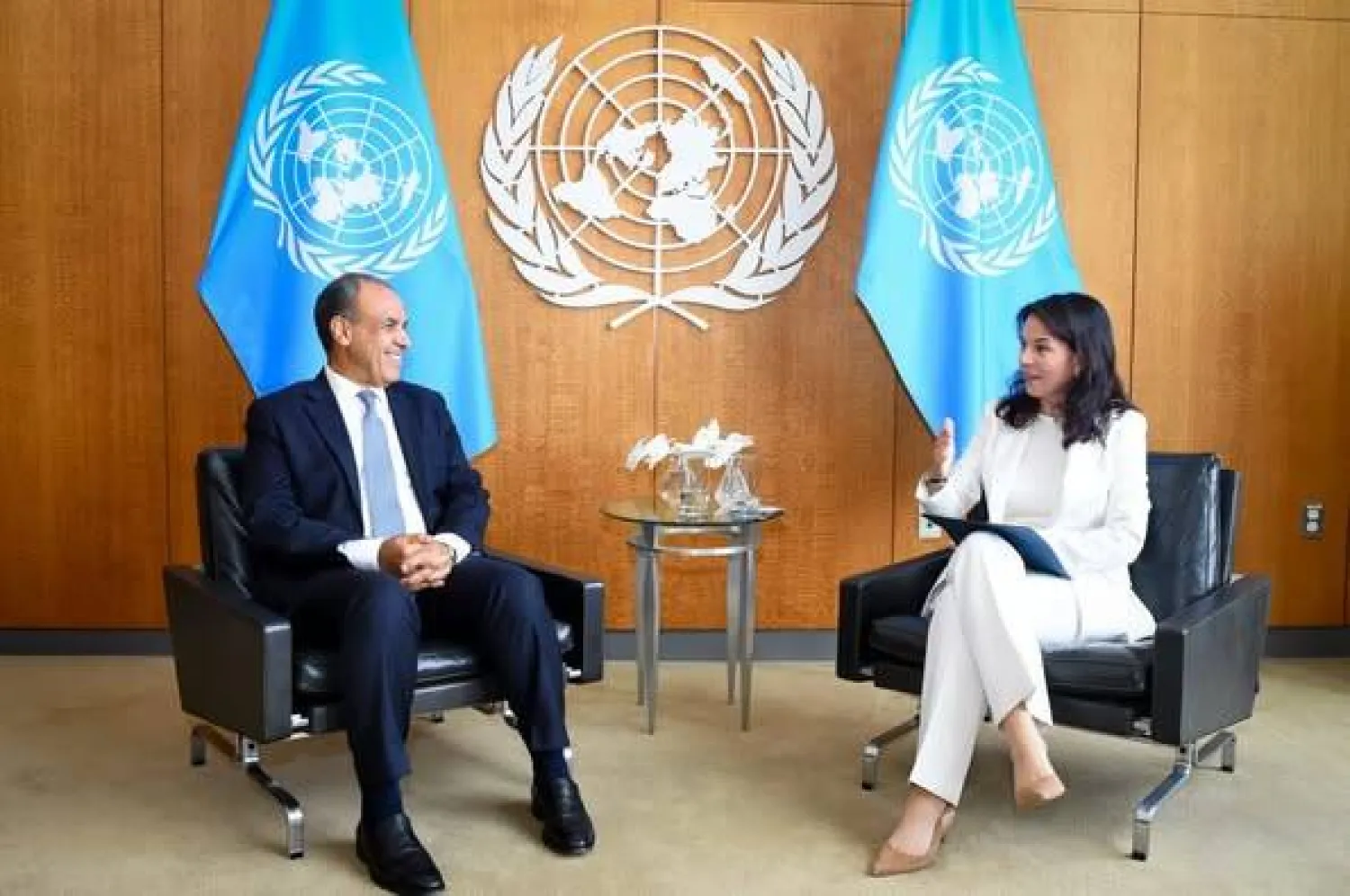 بدر عبد العاطي خلال محادثات مع أنالينا بيربوك (الخارجية المصرية)