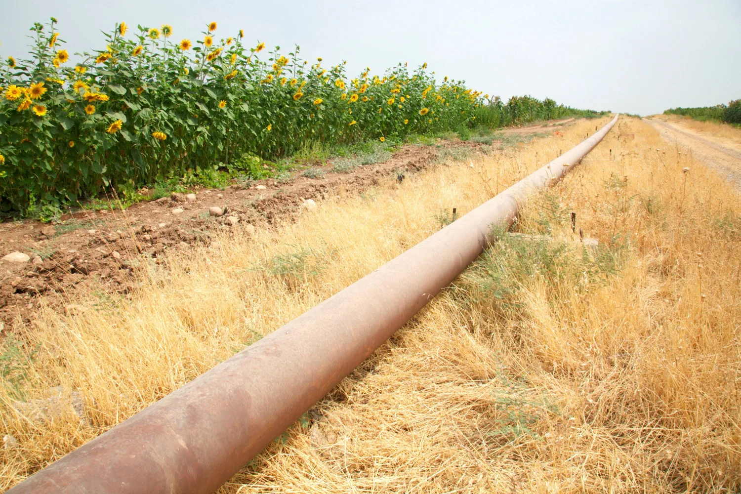 FILE PHOTO: The Iraqi-Turkish pipeline is seen in Zakho district of the Dohuk Governorate of the Iraqi Kurdistan province, Iraq, August 28, 2016. REUTERS/Ari Jalal/File Photo/File Photo