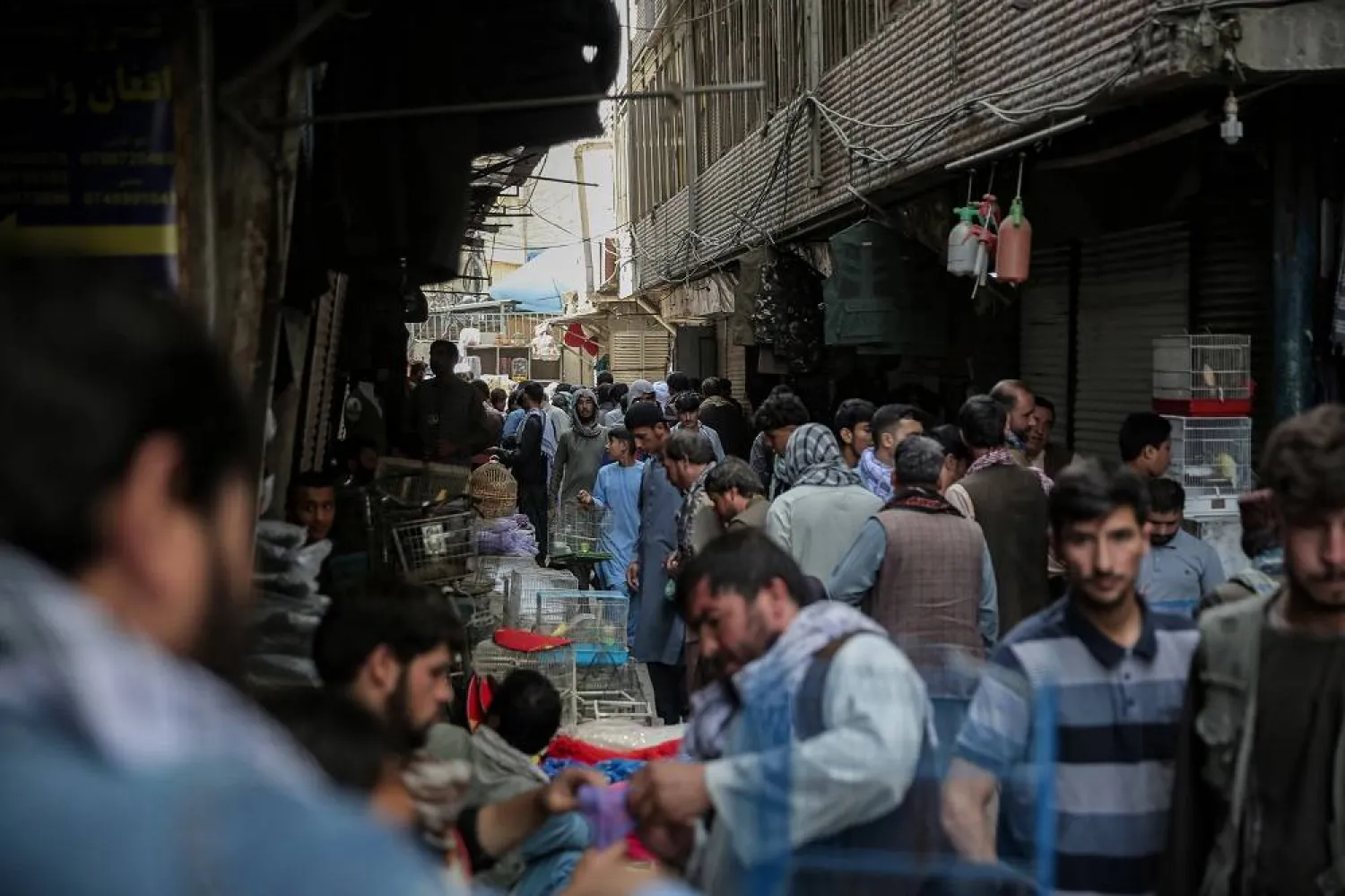 People walk along vendors offering birds at Kucheh Kah Farooshi Bazar in old Kabul, Afghanistan, 26 September 2025. (EPA)