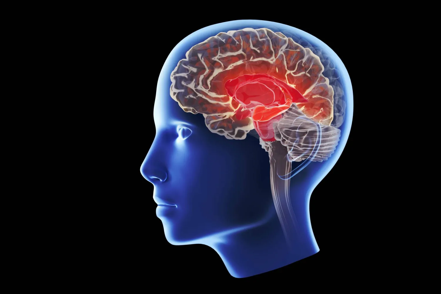 تباين جيني يُعطّل نظام تنظيف الدماغ… ويزيد خطر الإصابة بألزهايمر