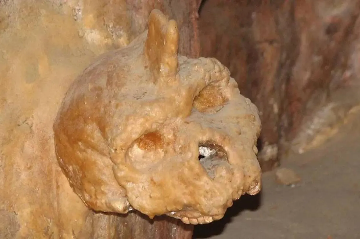 Kafatası, Petralona Mağarası'nın duvarına yapışmış halde bulunmuştu (Nadina/Wikimedia Commons)