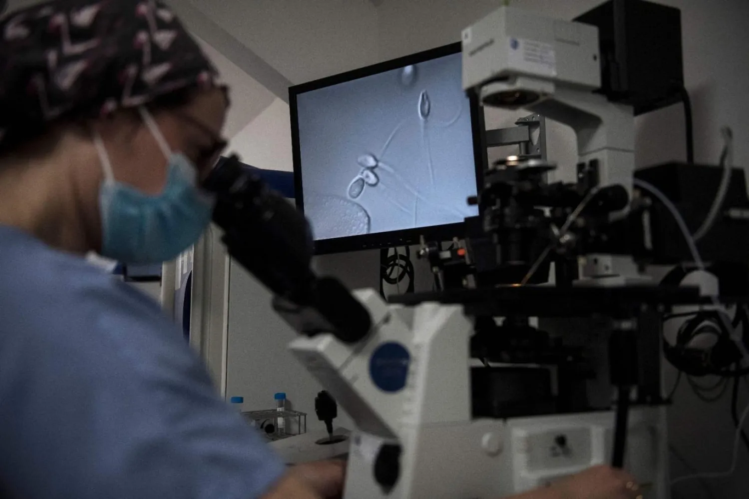 Sperm hücrelerini minik robotlara dönüştüren bilim insanları bunların, kadınların üreme sağlığı tedavilerinin iyileştirilmesine katkı sağlayabileceğini söylüyor (AFP)