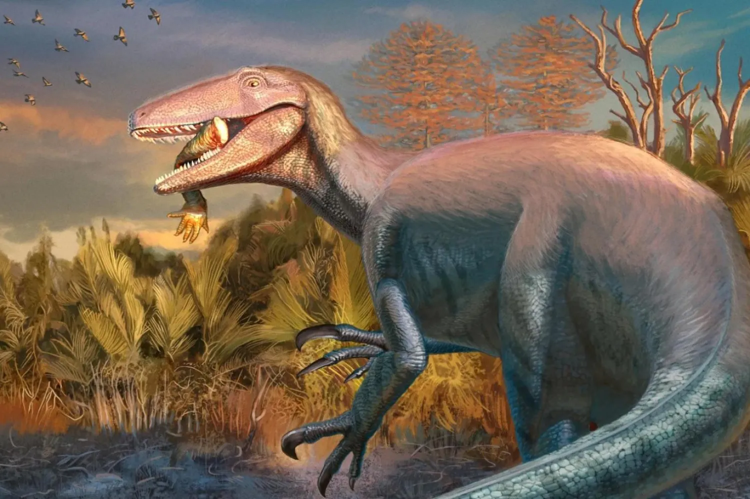 Joaquinraptor'un yaşam rekonstrüksiyonu (Andrew McAfee/Carnegie Doğa Tarihi Müzesi