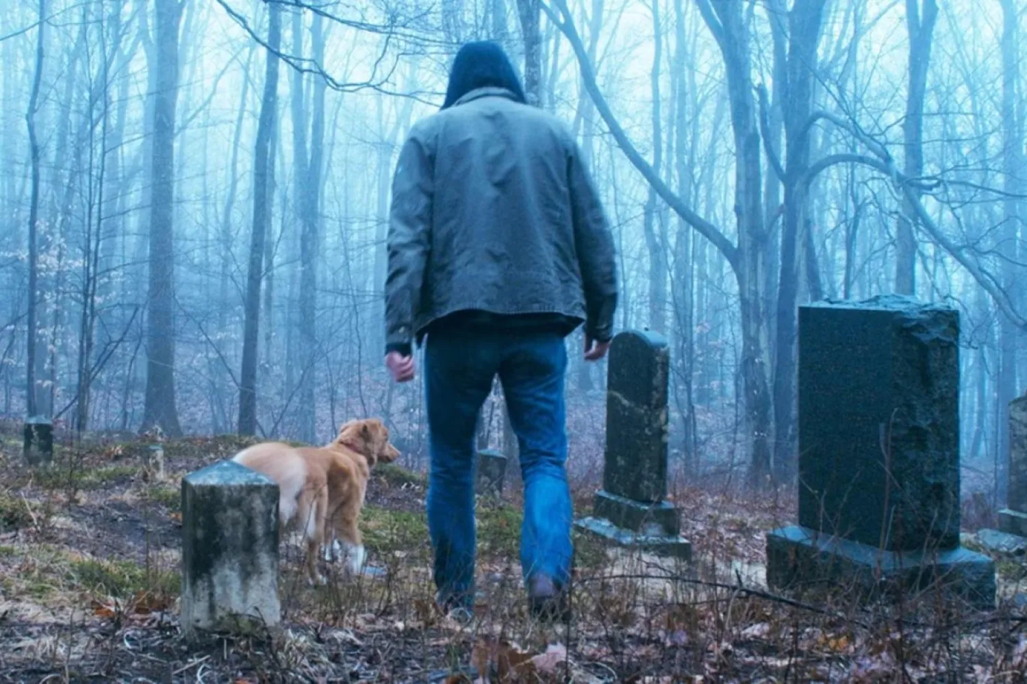 Bir köpeğin gözünden anlatılan perili ev hikayesi Good Boy, yönetmen Ben Leonberg'ün ilk uzun metrajlı filmi (IFC)