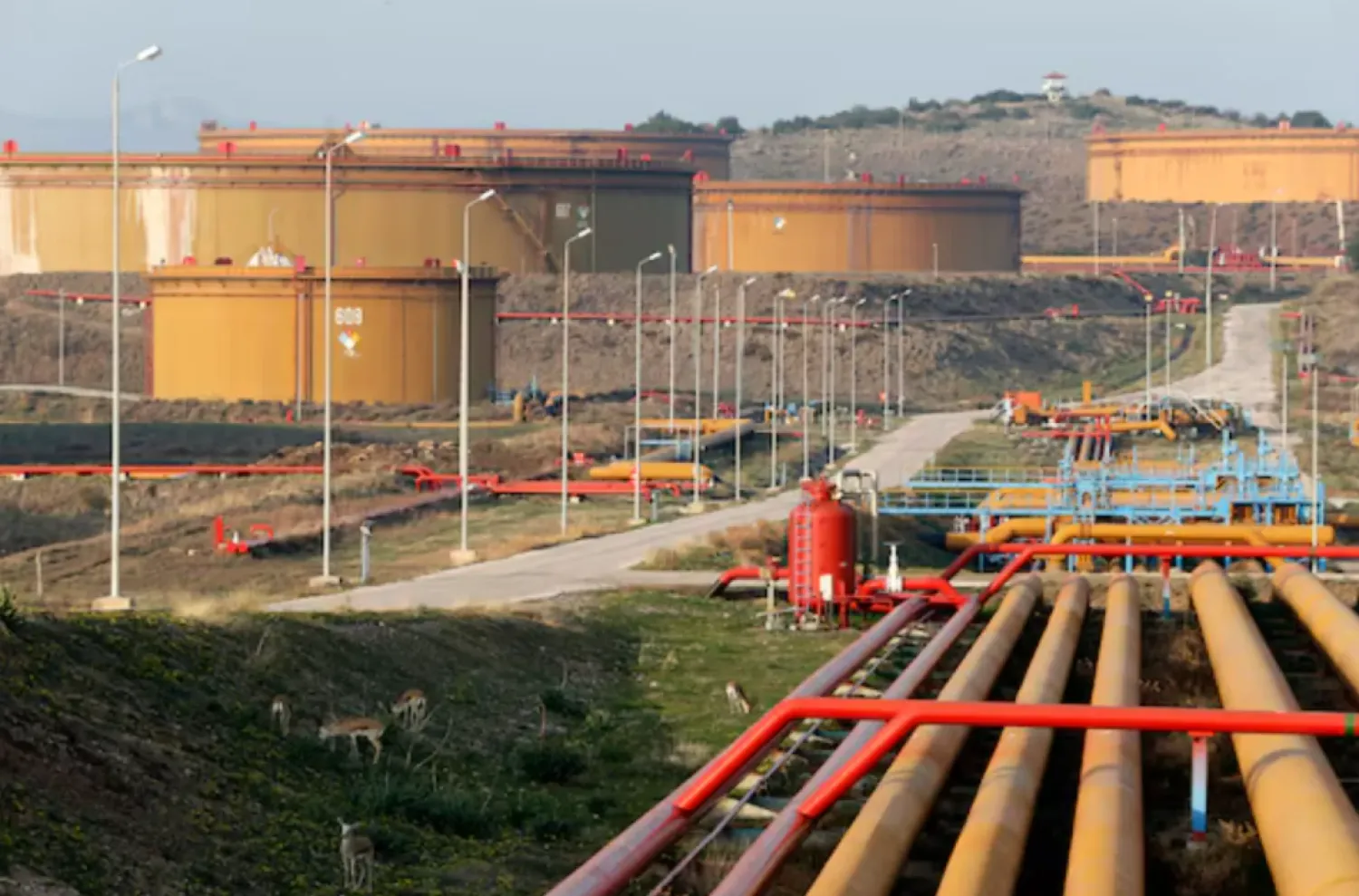 A general view of oil tanks at Turkish Mediterranean port of Ceyhan, February 19, 2014. REUTERS/Umit Bektas/File Photo

