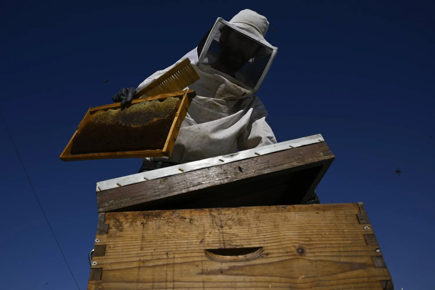 Nikos Chadjilias places a frame with honey in an empty beehive on the roof of a building in the Ilioupoli suburb of Athens, Greece, July 3, 2025. (AP)