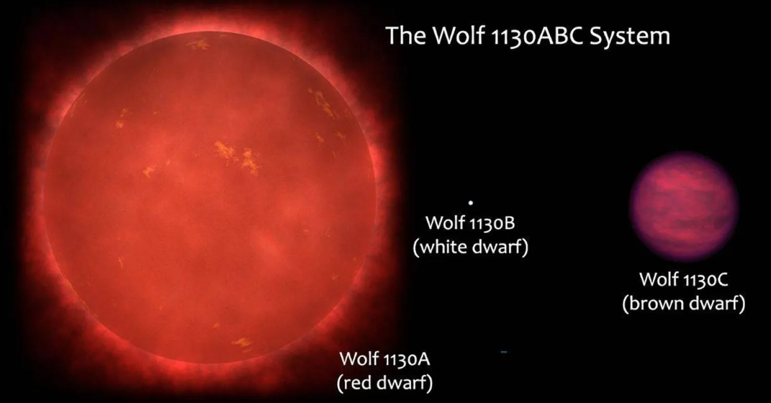 رسم توضيحي للنظام النجمي الثلاثي «وولف 1130ABC» (جامعة كاليفورنيا)