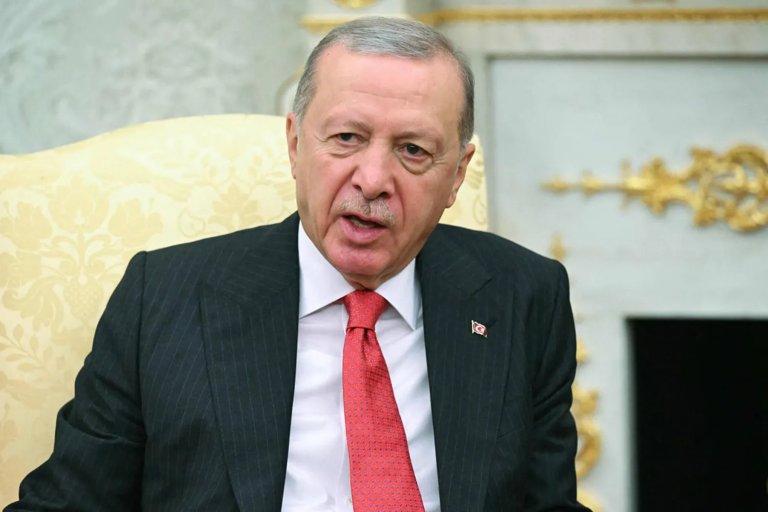 الرئيس التركي رجب طيب إردوغان (أ.ف.ب)