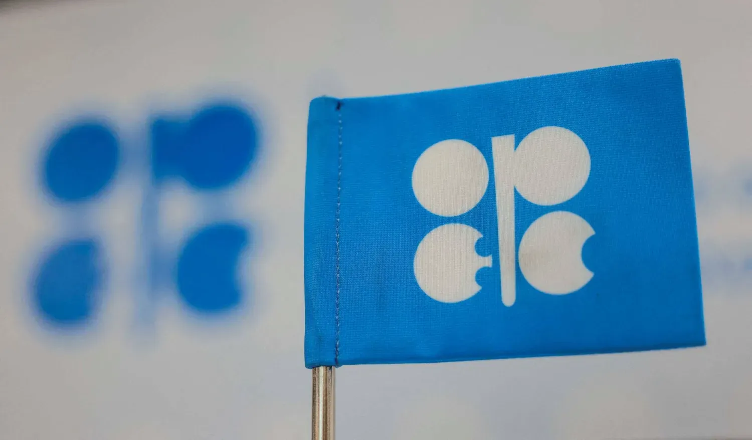 Bakü'de düzenlenen Birleşmiş Milletler İklim Değişikliği Konferansı sırasında Petrol İhraç Eden Ülkeler Örgütü'nün logosu (Reuters)