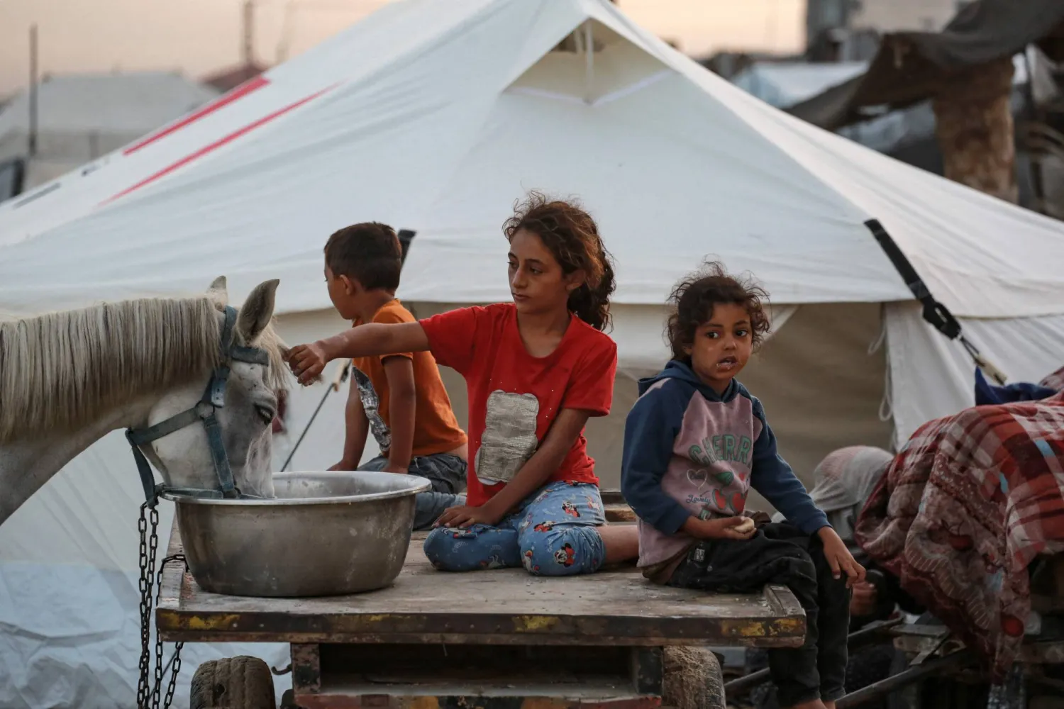 Displaced Palestinian children sit atop a cart as a horse used for transportation drinks water, in Deir el-Balah in the central Gaza Strip, on October 5, 2025. (Photo by Bashar TALEB / AFP)
