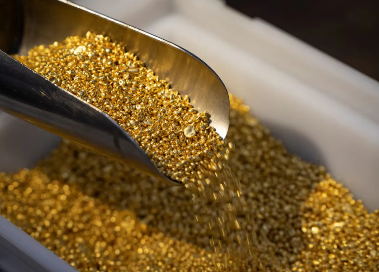 Employee takes granules of 99.99 percent pure gold in a workroom during production at Krastsvetmet precious metals plant in the Siberian city of Krasnoyarsk, Russia, May 23, 2024. REUTERS/Alexander Manzyuk