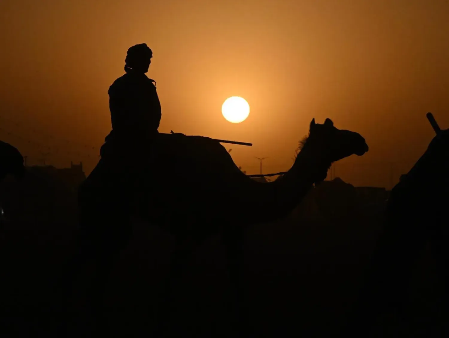 The auction features a wide array of heritage, cultural, and social activities - SPA