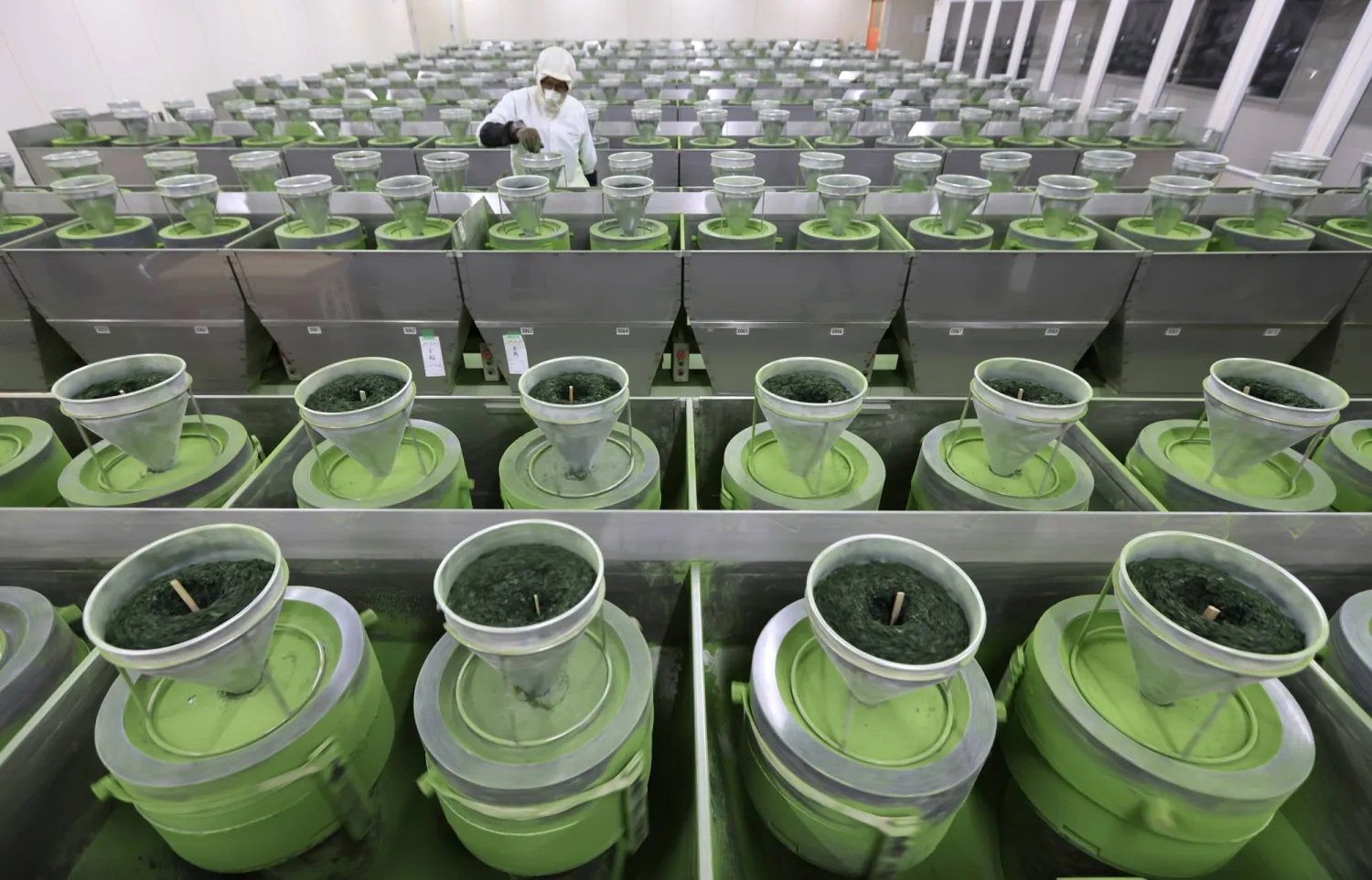 إن تناول شاي الماتشا يوميًا يُمكن أن يُؤثر بشكل إيجابي على مستويات طاقتك وصحتك العامة (رويترز)