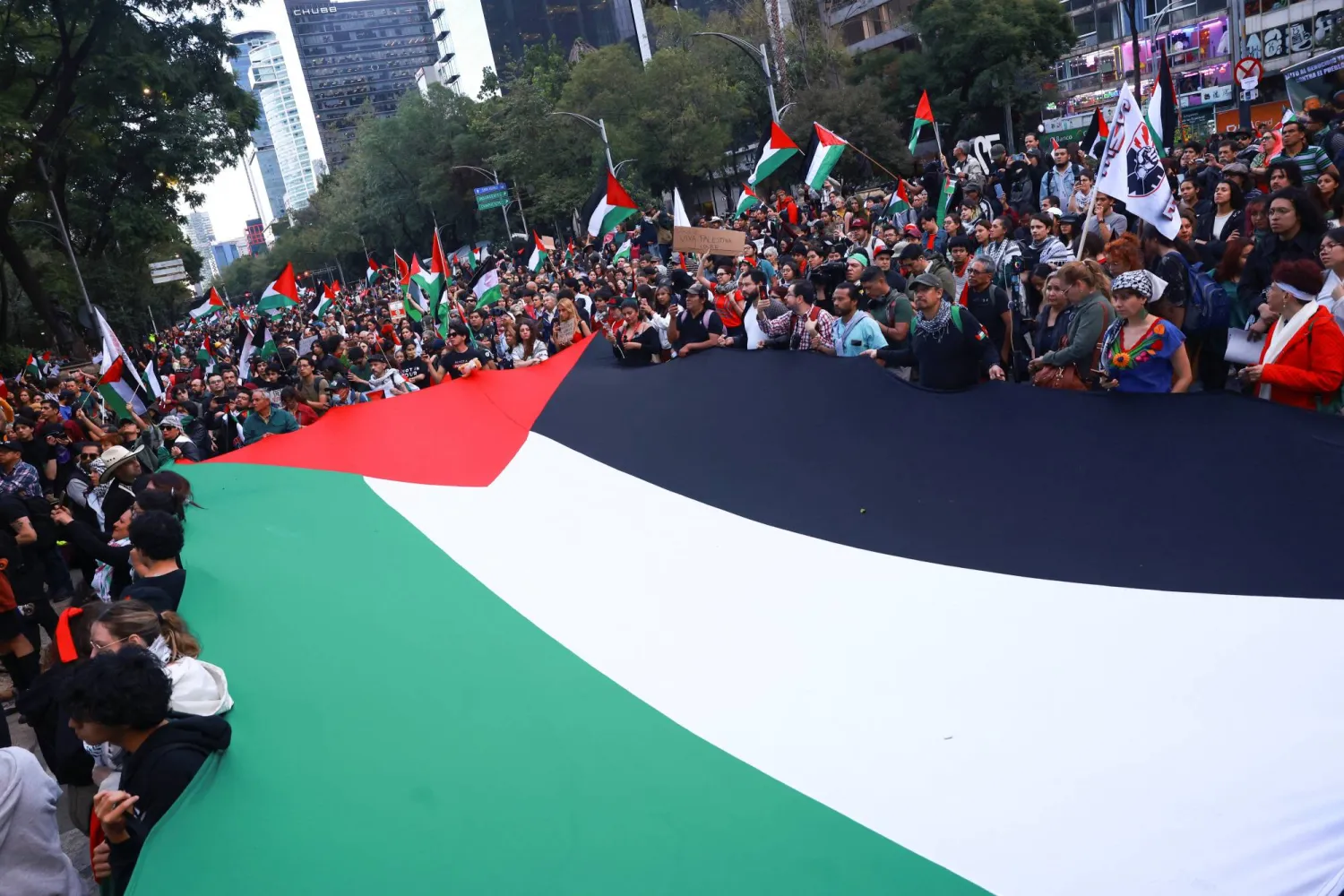 Demonstrators holds a Palestinian flag during a pro-Palestinian protest after Israeli forces intercepted the vessels of the Global Sumud Flotilla aiming to reach Gaza and break Israel's naval blockade, on the day of the two-year anniversary of the deadly October 7, 2023 attack on Israel by Hamas from Gaza, in Mexico City, Mexico October 7, 2025. (Reuters)