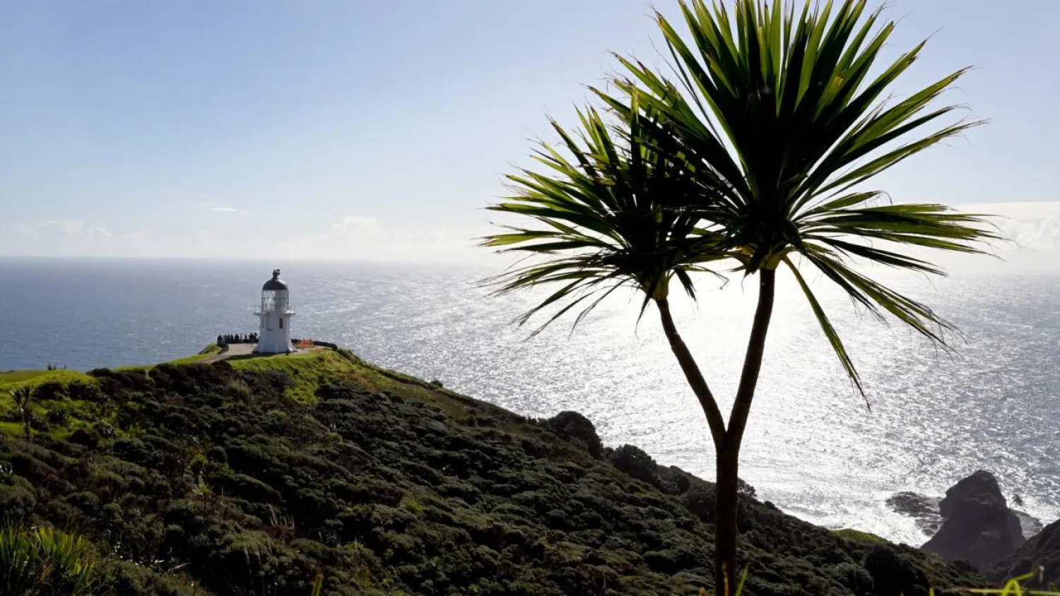 Scientists have found the oceans around New Zealand are warming, rising, and turning more acidic. (AFP)