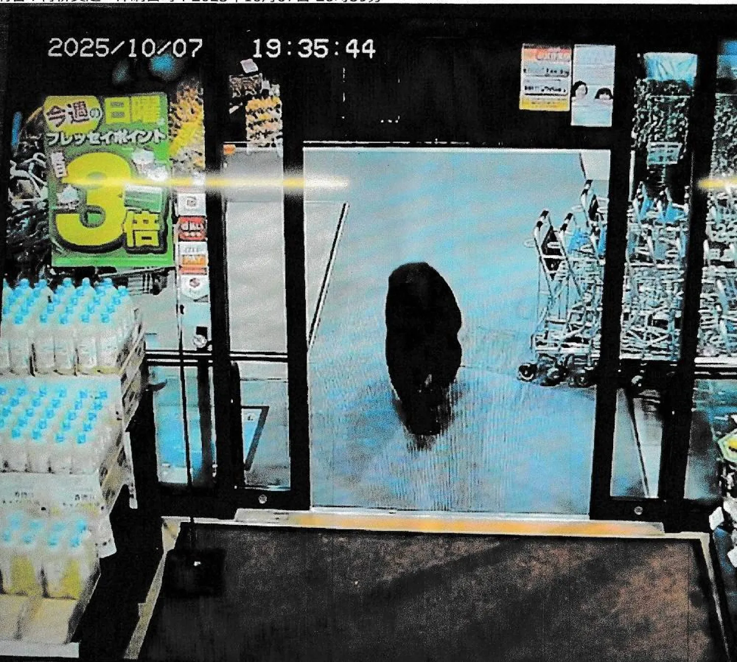 This handout photo taken on October 7, 2025 and released by Gunma Prefectural Police via Jiji Press shows a CCTV camera footage of a bear walking inside a supermarket in Numata, Gunma prefecture. (AFP / Gunma Prefectural Police via Jiji Press) 