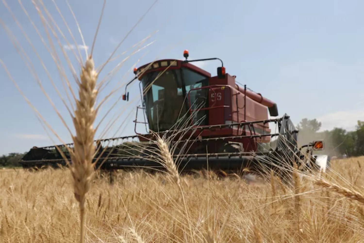 A combine harvests wheat in a field in Almaty Region, Kazakhstan July 14, 2021. REUTERS/Pavel Mikheyev/File Photo 