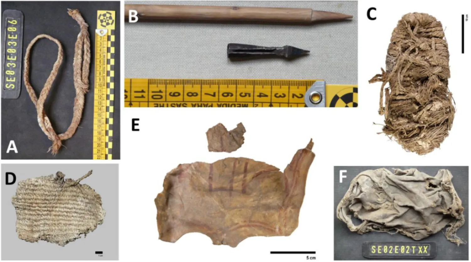 A collection of items recovered from the nests of bearded vultures in Spain (Ecology/Wiley Periodicals LLC) 