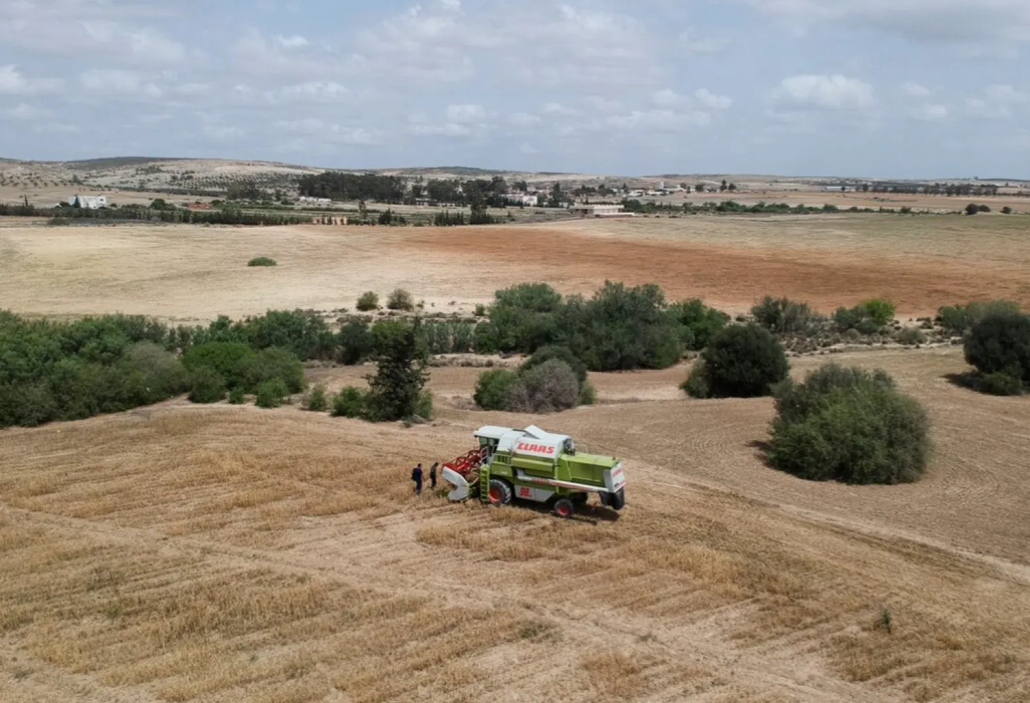 A combine harvests wheat on a field that belongs to farmer Hasan Chetoui in Manouba, Tunisia May 24, 2023. REUTERS/Jihed Abidellaoui 