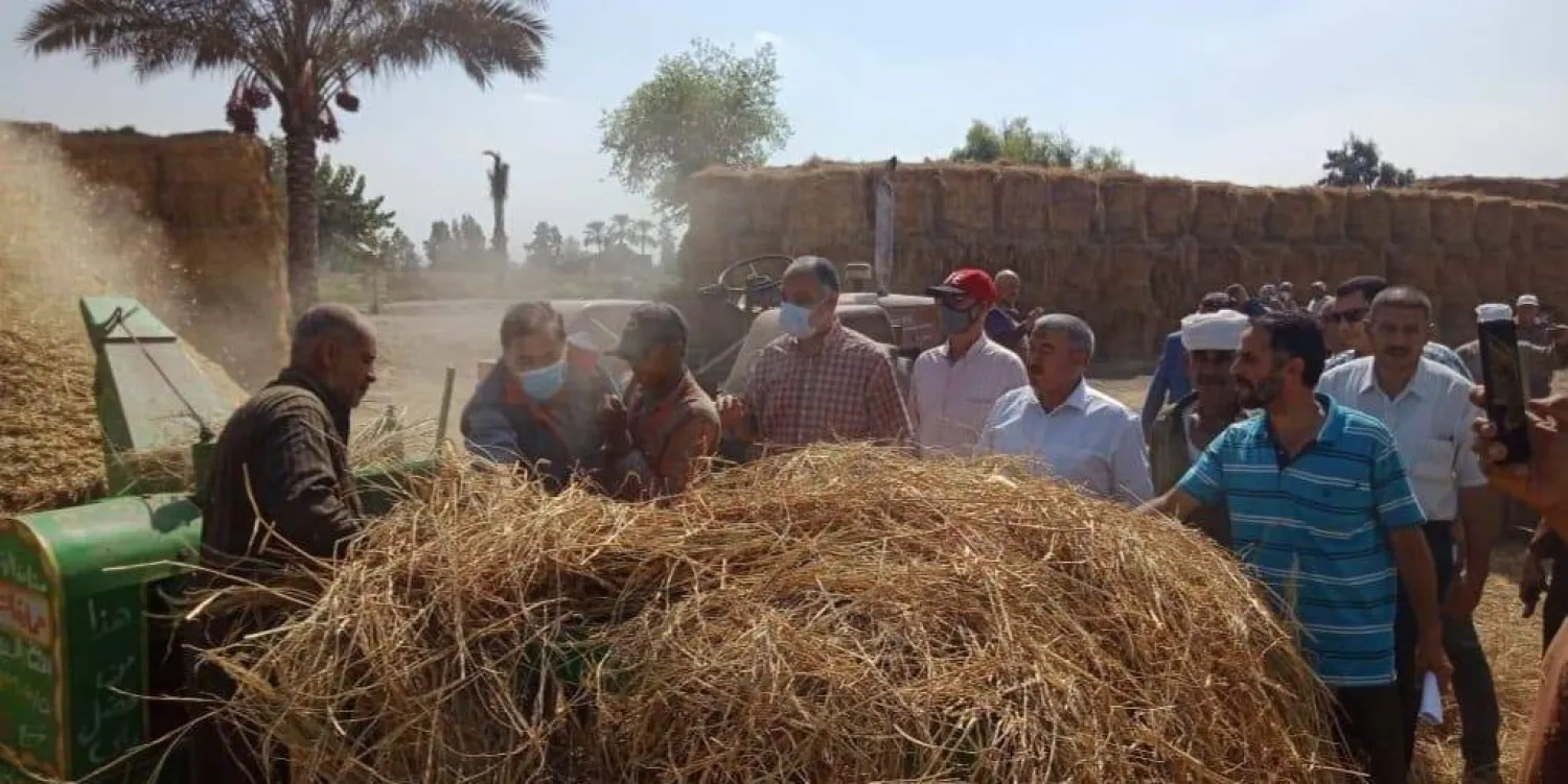 جولات ميدانية للإرشاد الزراعي (وزارة الزراعة المصرية)