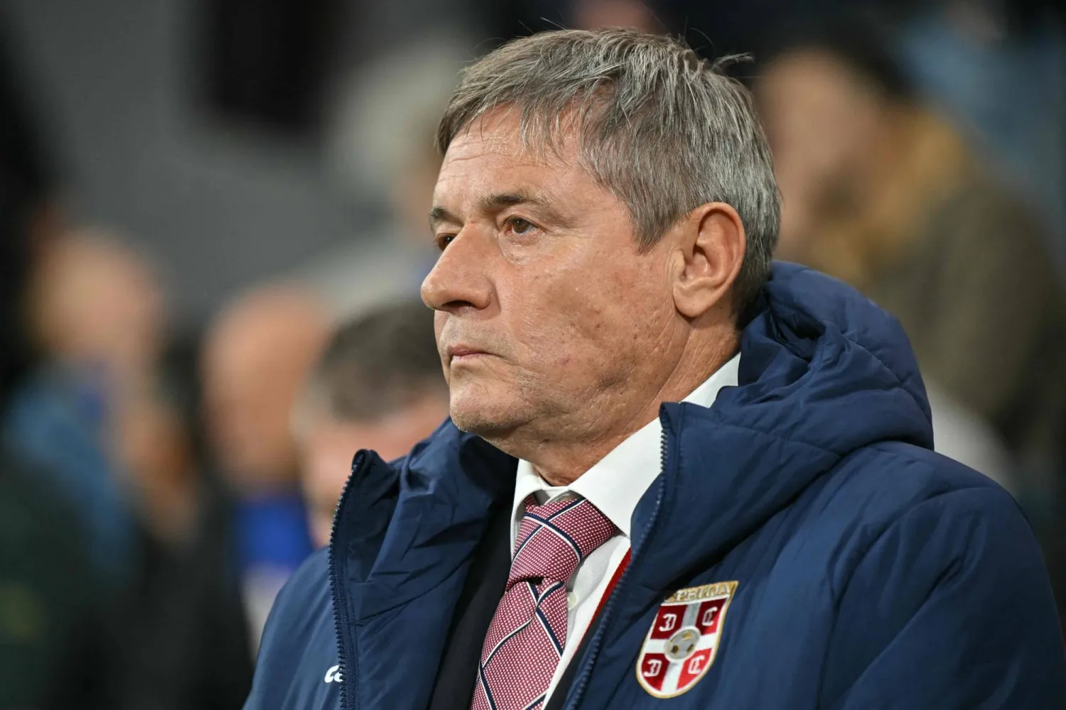 دراغان ستويكوفيتش (أ.ف.ب)