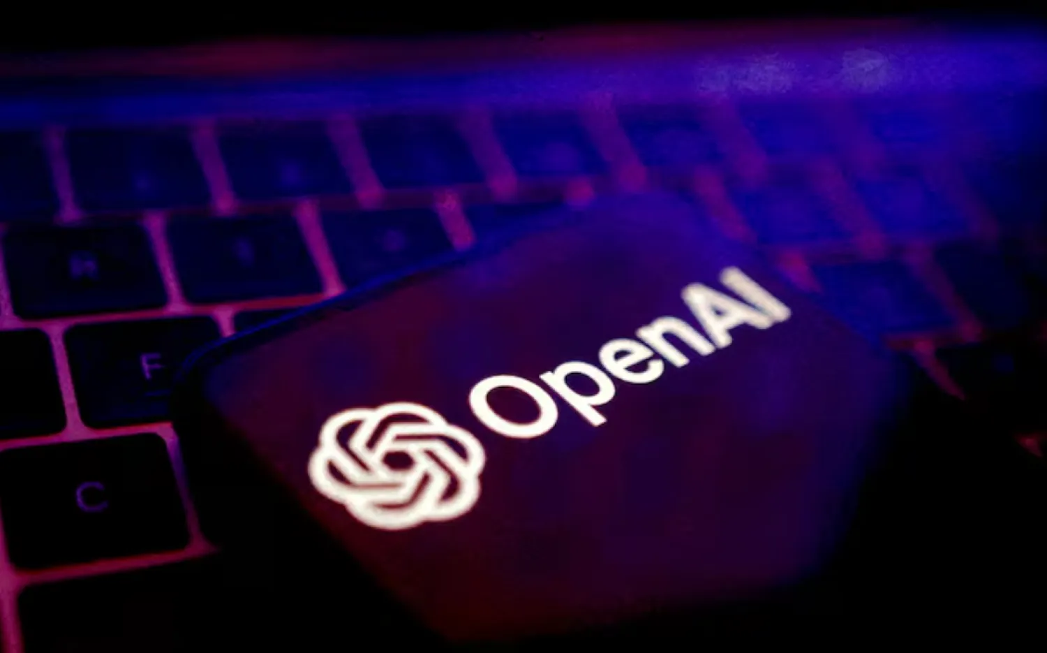 OpenAI logo is seen in this illustration taken May 20, 2024. REUTERS/Dado Ruvic/Illustration/File Photo 