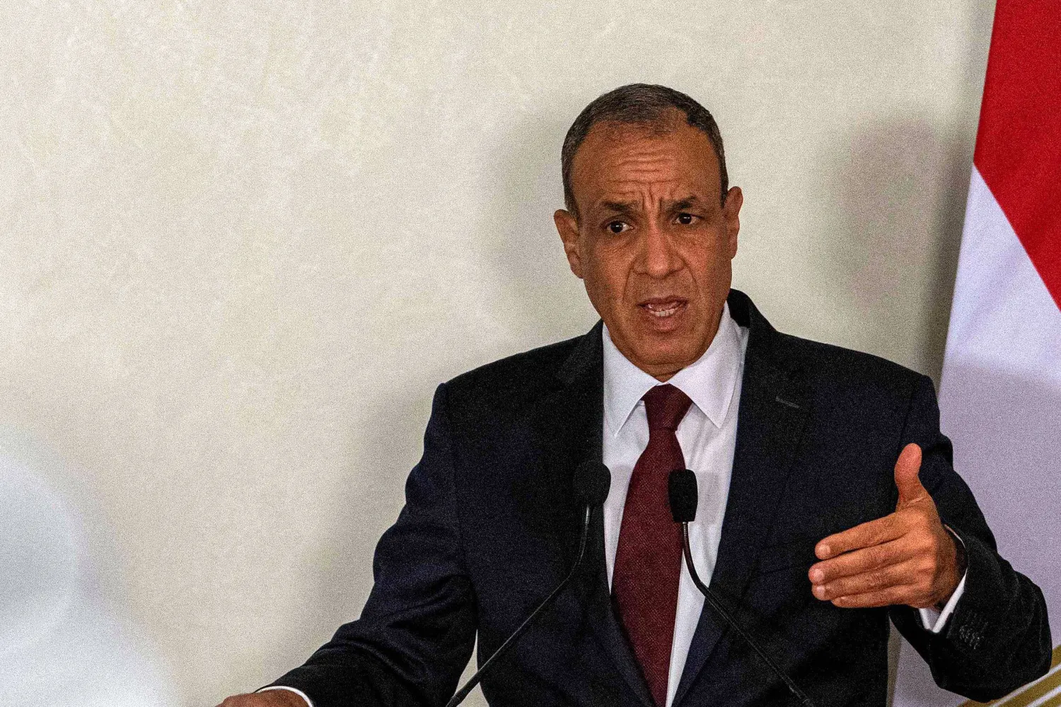 وزير الخارجية المصري بدر عبد العاطي (أ.ف.ب)