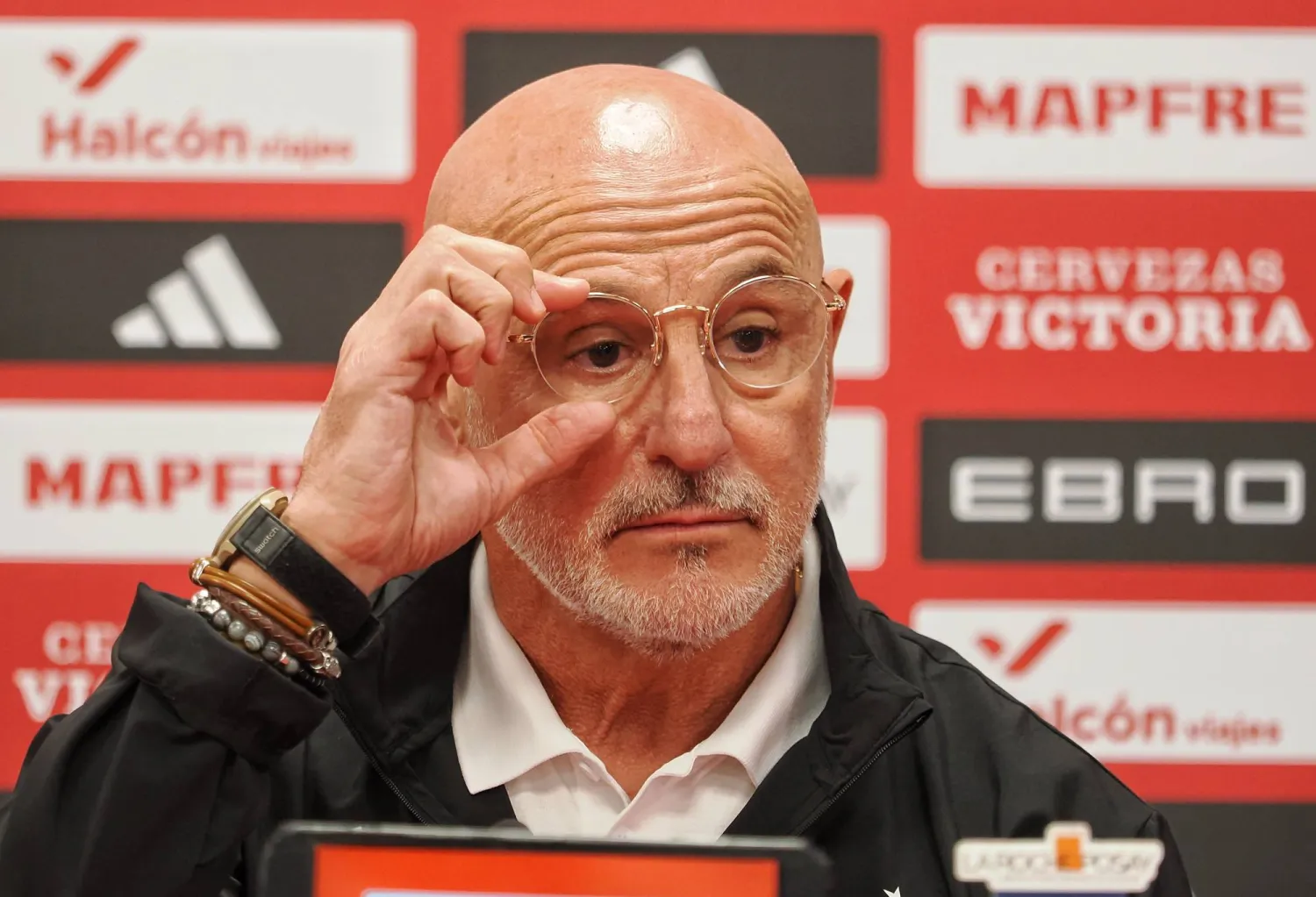  لويس دي لا فوينتي مدرب منتخب إسبانيا (د.ب.أ)