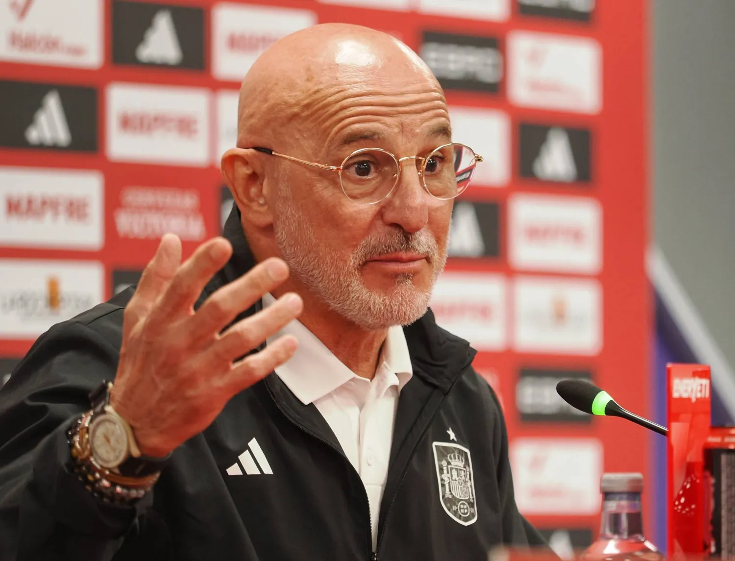 لويس دي لا فوينتي (د.ب.أ)