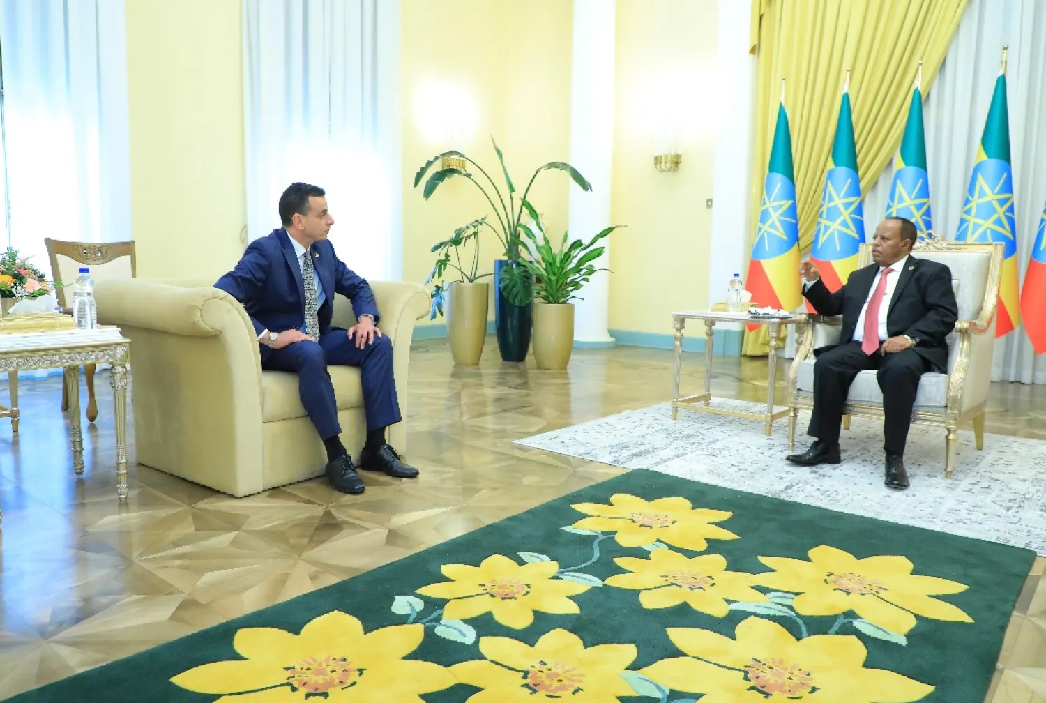 الرئيس الإثيوبي تايي أتسكي سيلاسي يستقبل السفير المصري الجديد عبيدة الدندراوي (وكالة الأنباء الإثيوبية)