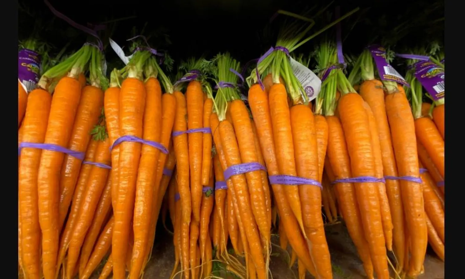 عصير الجزر يساعد في التحكم بمستويات الكولسترول (رويترز)