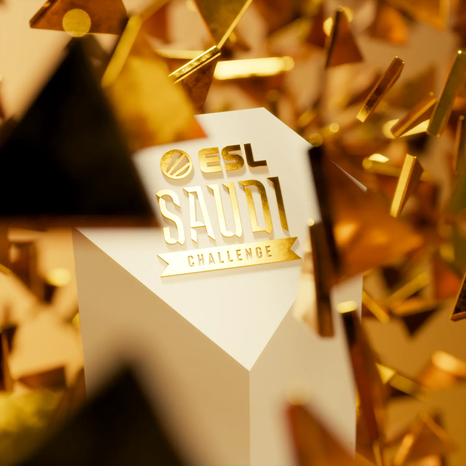 الرياض تستعد لنهائيات «تحدي إي إس إل» السعودي (الشرق الأوسط)