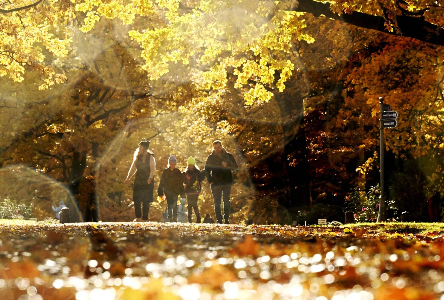People walk during an Autumn day at a park in Tsarskoye Selo, the former summer residence of the Tsars, on the outskirts of Saint Petersburg on October 11, 2025. (Photo by Olga MALTSEVA / AFP)