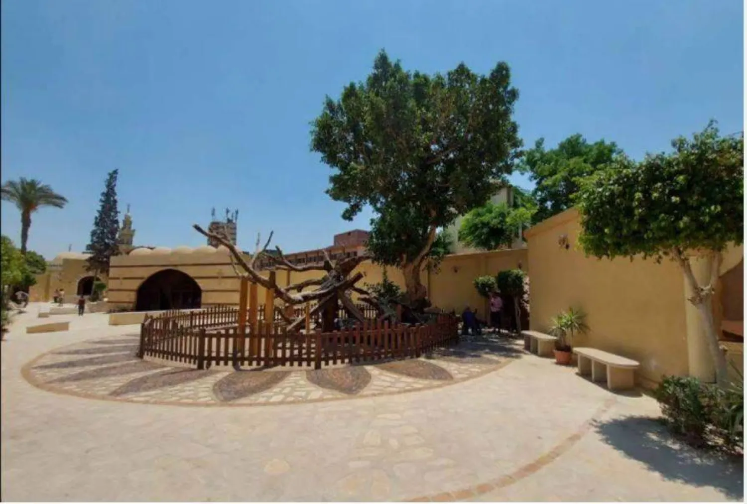 «شجرة مريم» في المطرية ضمن مسار العائلة المقدسة بمصر (وزارة السياحة والآثار)