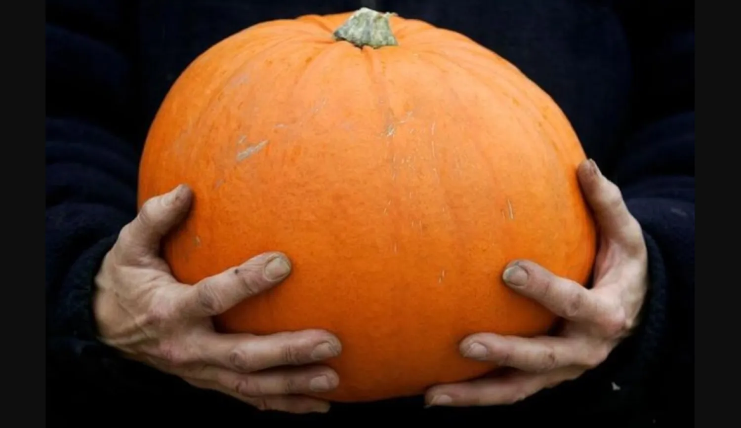 اليقطين المطبوخ قد يكون ألطف على المعدة (رويترز) 