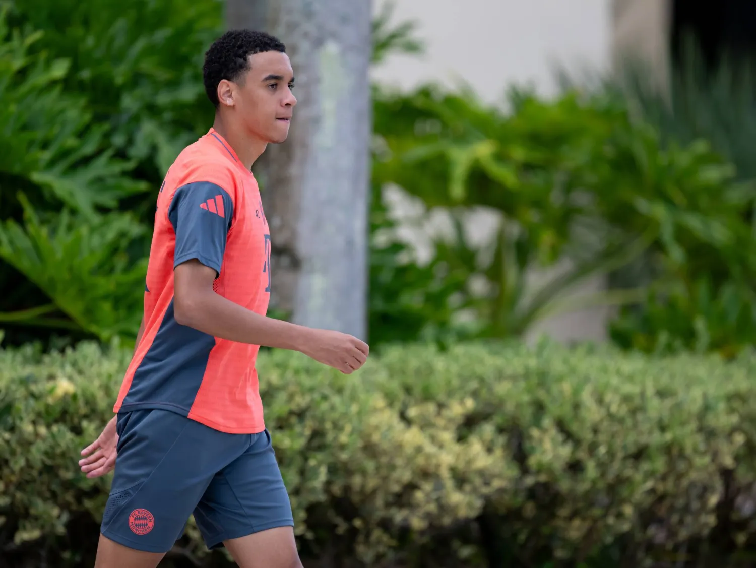 جمال موسيالا (د.ب.أ)