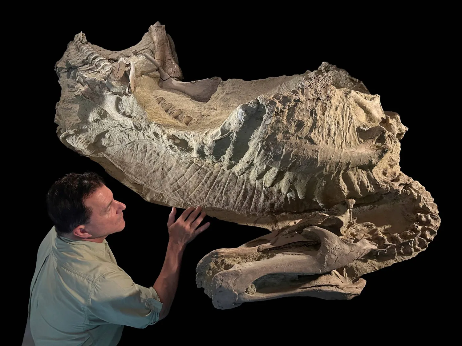 عالم حفريات يفحص مومياء متحجرة لديناصور في مختبر بشيكاغو الأميركية (رويترز)