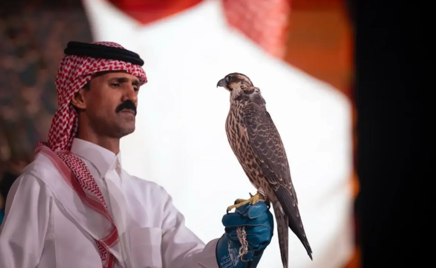 Falconer Nawaf Al-Enezi sold the first peregrine falcon (shaheen) of his career for SAR193,000  - SPA