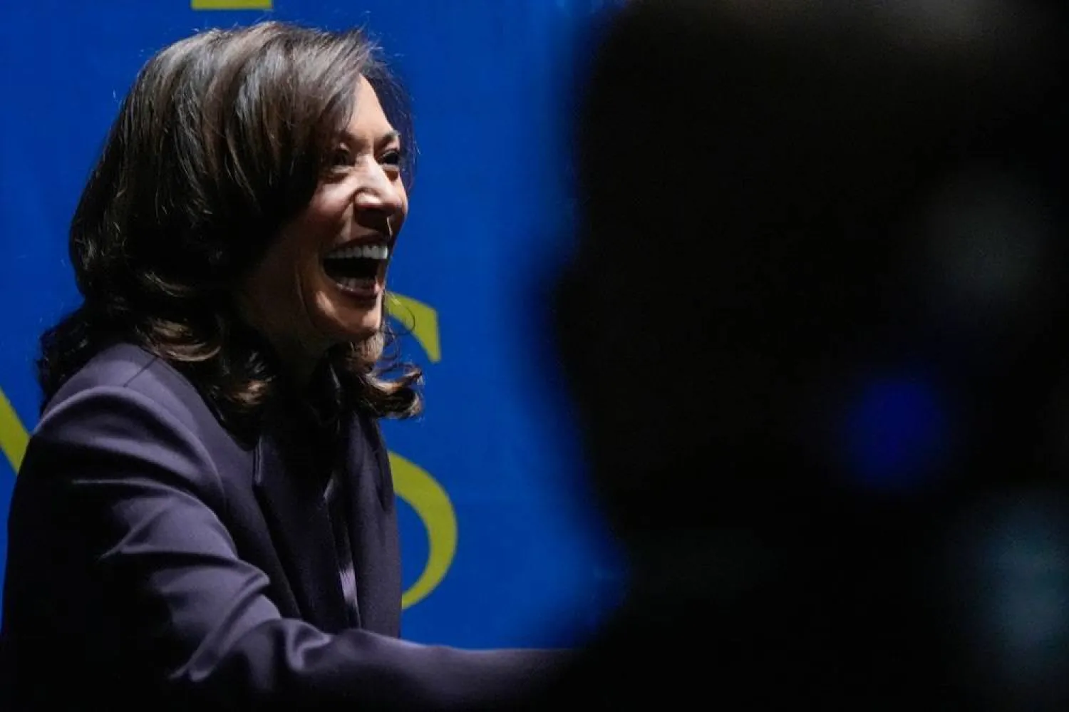  Former Vice President Kamala Harris greets people before she speaks, Friday, Oct. 17, 2025, in Birmingham, Ala. (AP)