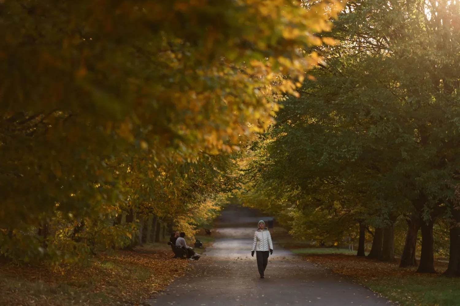 سيدة تمشي في حديقة غرينويتش بلندن 25 أكتوبر 2025 (رويترز)