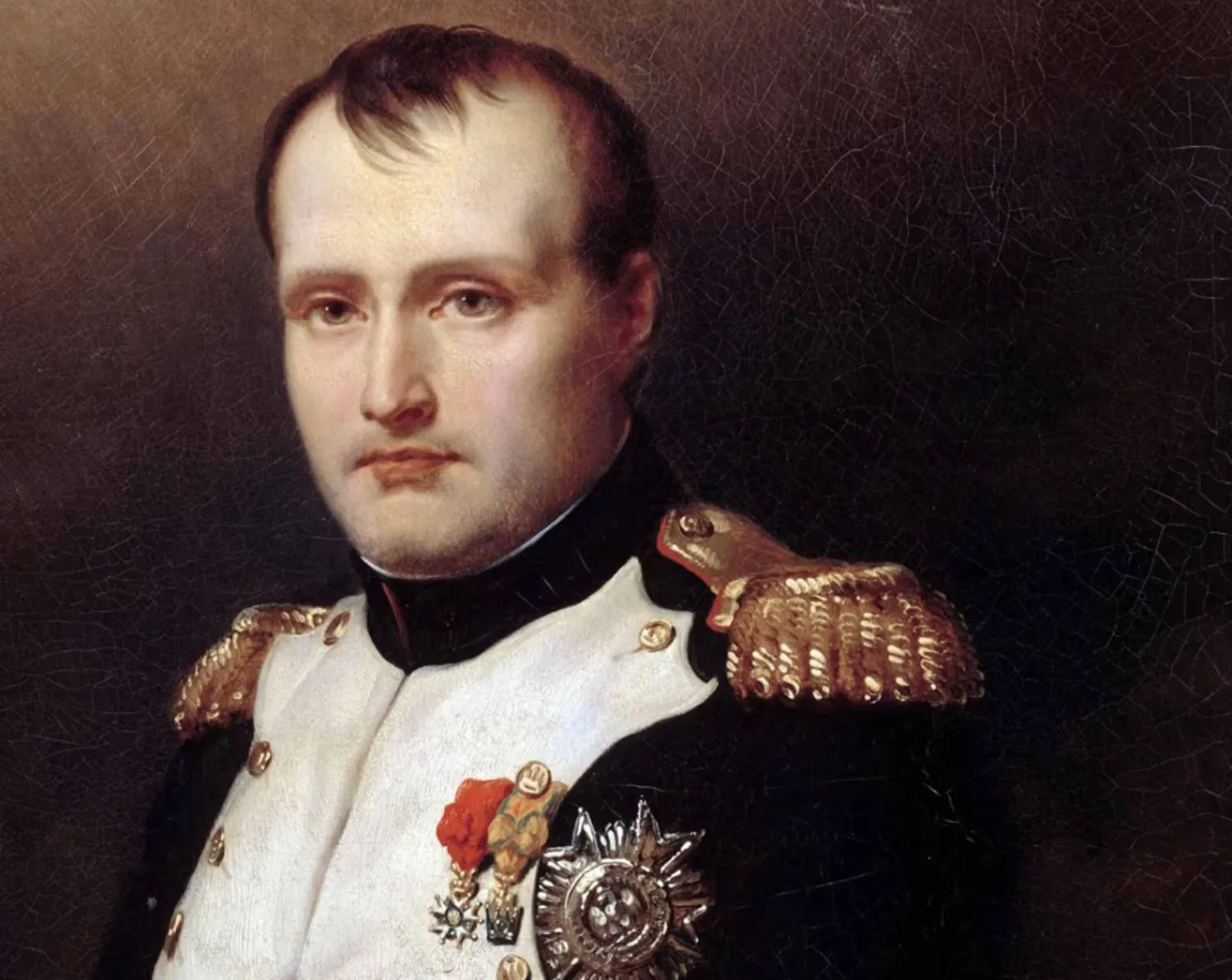 «صورة نابليون الأول» رسمها تشارلز أوغست عام 1812 (شاترستوك)